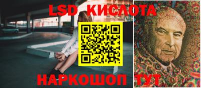 прущие грибы Конаково